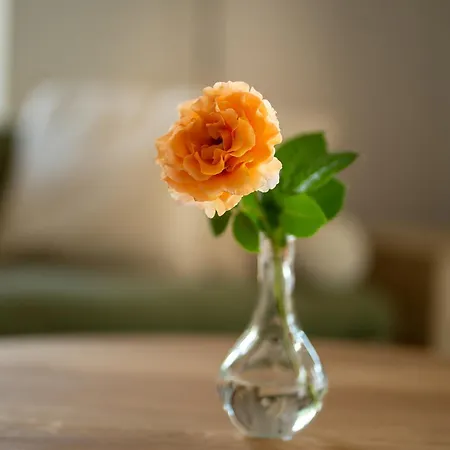 Dom Nad Potokiem Korzkiew